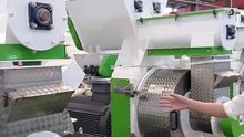 🎬 Ring Die Type Sawdust Pellet Machine | High-Efficiency Biomass Pellet Production 🌱