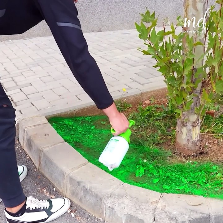 Hacks you never knew you needed!  💡