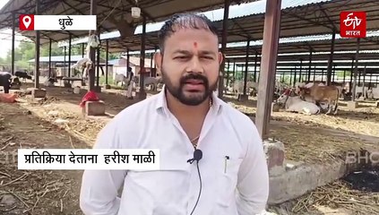 गुरांच्या बाजारात तब्बल २० वर्षानंतर पहावयास मिळाला शुकशुकाट, पाहा व्हिडिओ
