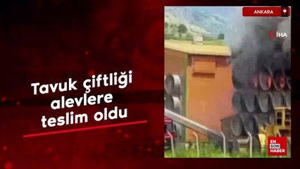 Ankara'da tavuk çiftliği alevlere teslim oldu