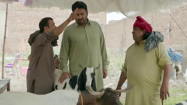 Bakra Eid Rana Ijaz New Funny Video Episode 04 _ Standup Comedy By Rana Ijaz _ Bakra Eid Special Funny Video _ #ranaijaz