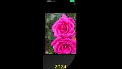 POOKALAI Satru OvuEdunkal Aval Vanthu Vittal