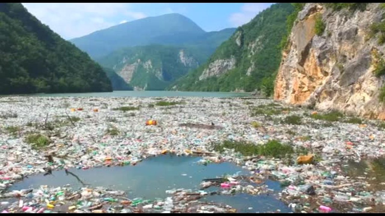 Giornata Mondiale dell'Ambiente, il report WWF su plastiche e rischi