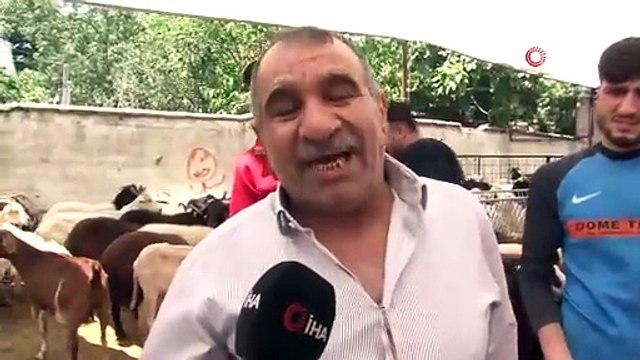 Bayrama sayılı günler kala, kurban satış yerlerinde pazarlıklar devam ediyor