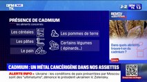 Dans quels aliments trouve-t-on du cadmium?  BFMTV répond à vos questions