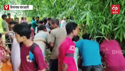 बांस के झुरमुट में फंस गया था बाघ का शावक, लोगों ने आकर बचाई उसकी जान