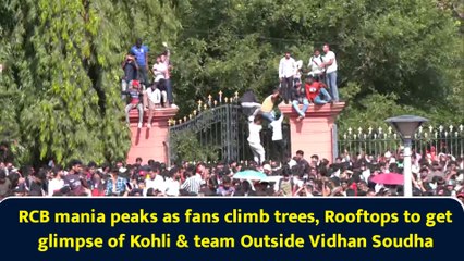 RCB mania peaks as fans climb trees, rooftops to get glimpse of Kohli & team Outside Vidhan Soudha