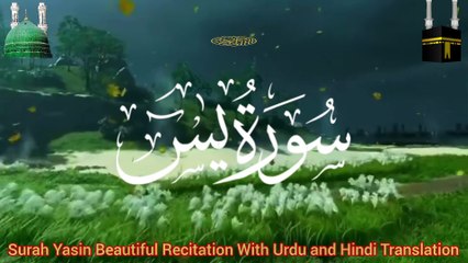 Surah Yasin Heart Touching Tilawat | Surah Yaseen Beautiful Recitation |سورہ یاسین پرسکون آواز تلاوت