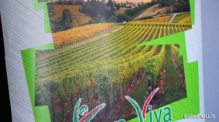 Agricoltura, Claudio Risso confermato presidente di Terra Viva