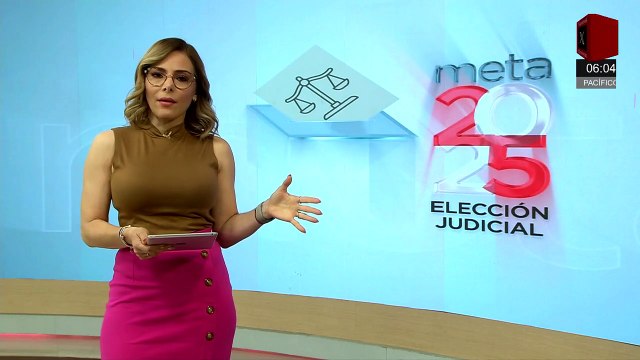 Cómputos distritales continúan : consejera del INE tras aplazar mensaje en cadena nacional