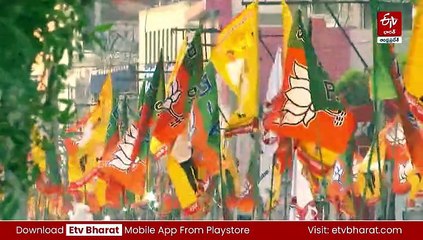 కూటమి ఘన విజయానికి ఏడాది - రాష్ట్రవ్యాప్తంగా సంబరాలు