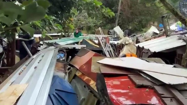 Acumuladora é presa por maus-tratos após manter 18 cães presos