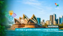 Australia: Un viaje a grandes ciudades y antiguos bosques