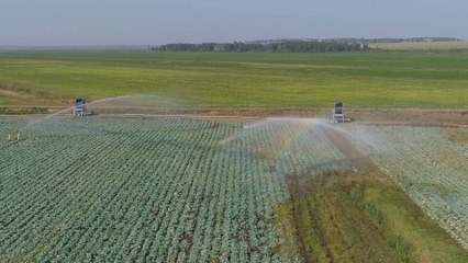 L’Ue potrebbe produrre più cibo con meno risorse