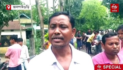 হাতি-মানুষ সংঘাতে আলিপুরদুয়ার-জলপাইগুড়িতে 4 মাসে মৃত 25, একাধিক পদক্ষেপ বন দফতরের