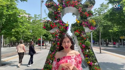 La floración del tilo convierte a Zaragoza en una de las ciudades que mejor huele del mundo en junio