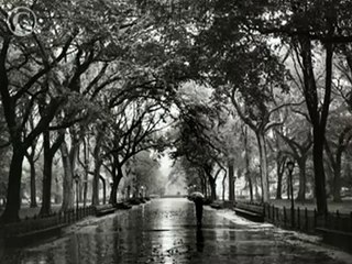 enstrumantal fon müzikleri 24