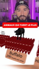 LES ANIMAUX QUI TUENT LE PLUS CHAQUE ANNÉE !
