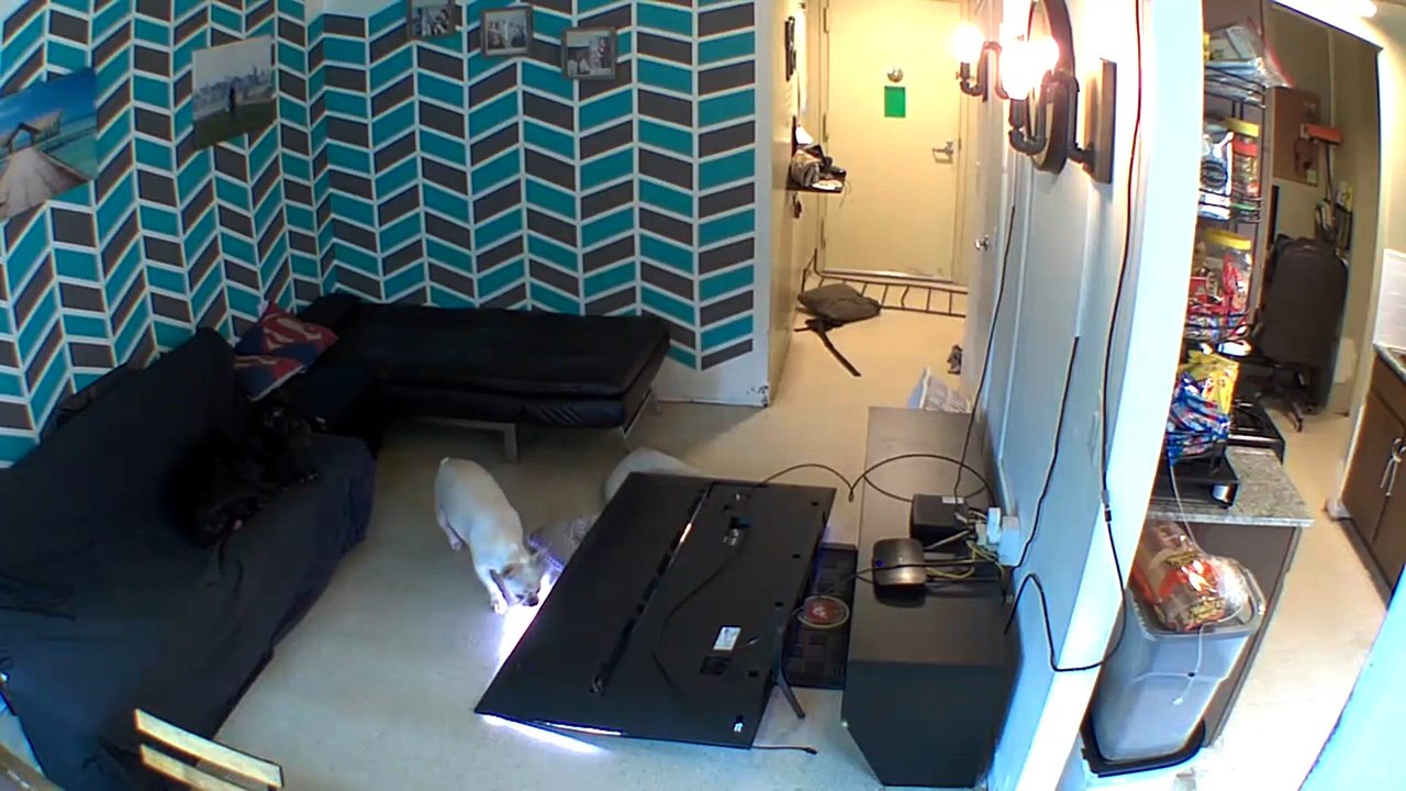 Whoops on Camera