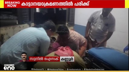 കണ്ണൂർ കച്ചേരികടവിൽ കാട്ടാനയുടെ ആക്രമണത്തിൽ‍ വീട്ടമ്മയ്ക്ക് പരിക്ക്