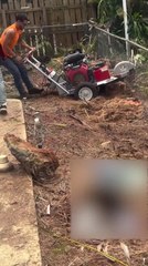 Man Gets Pulled Forward by Heavy Stump Grinder
