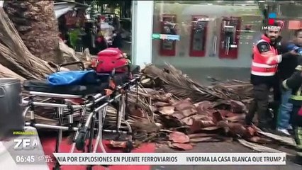 Caída de palmera en la colonia Narvarte deja 3 personas lesionadas
