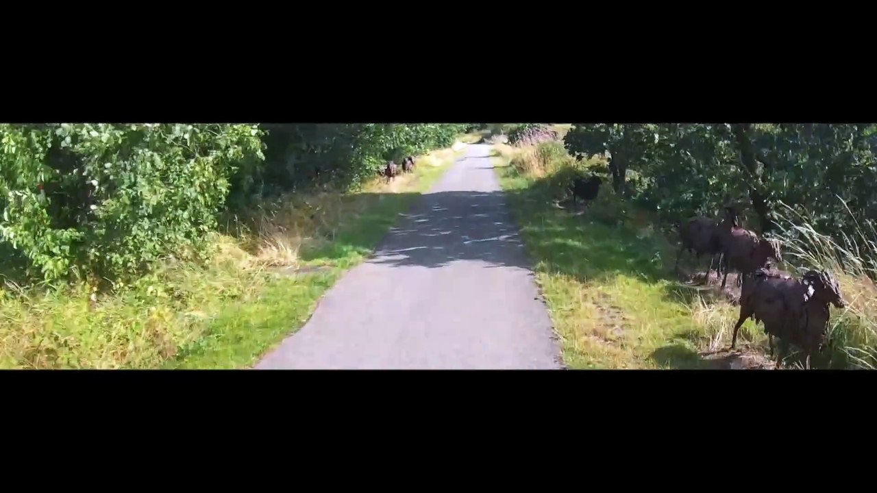 RV16 MHA | Low Moor : Close pass, wet road & oncoming-car