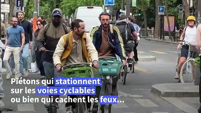 À Paris, la relation cyclistes-piétons en quête d'équilibre