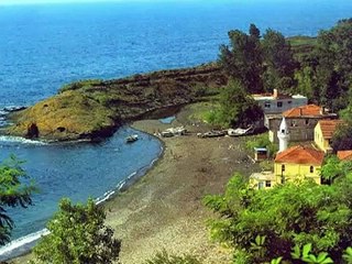 enstrumantal fon müzikleri 35