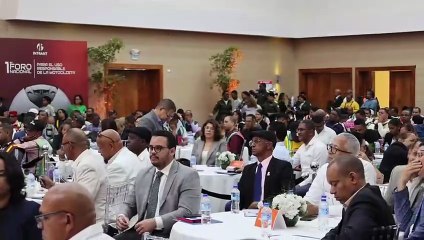 Faride Raful responde: ¿Qué necesitan los motoristas y qué hacen las autoridades?