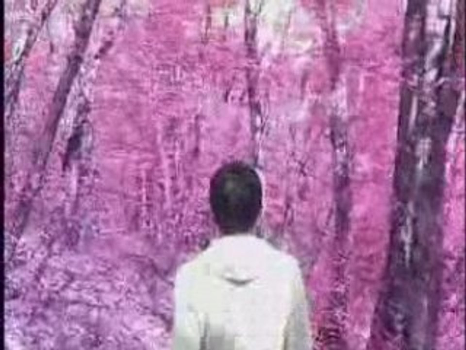 Court-métrage: When dream and day unite