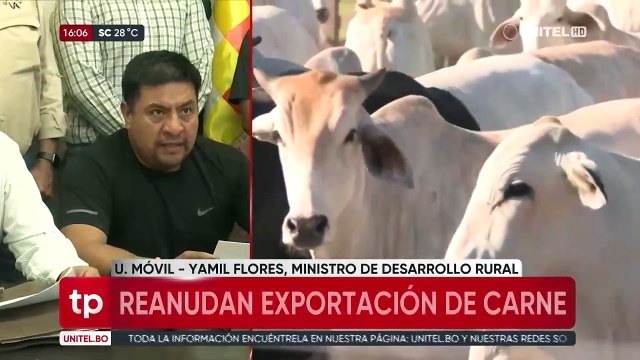 Tras más de 100 días, Gobierno levanta el veto a la exportación de carne de res