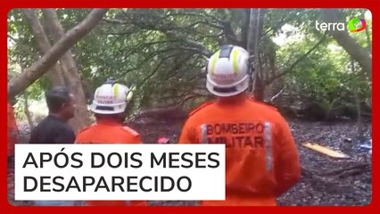 Bombeiros tentam resgatar homem do topo de árvore há dois dias na Bahia; entenda o caso