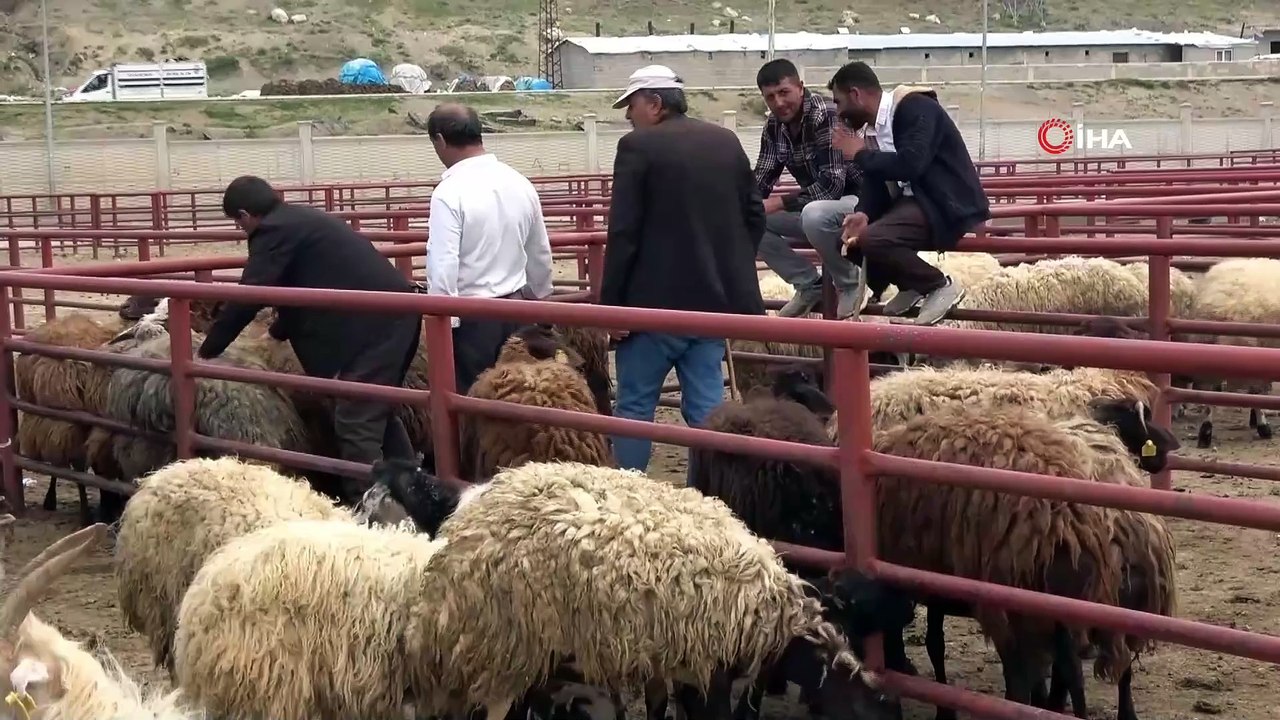 Kurban Bayramı ne zaman? Öğrencilerin ve çalışanların merak ettiği tatil takvimi netleşti