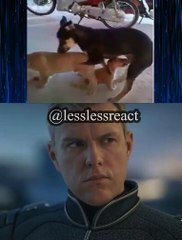 Vídeo Sem Legenda | Diversão, Risadas e Momentos #shorts #DAILYMOTIONshorts #viral #diversão #tendência #shortvideo #memes #brasil #engracado #react