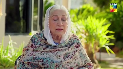 Dastakhat - Episode 14 - 4 June 2025 - HUM TV