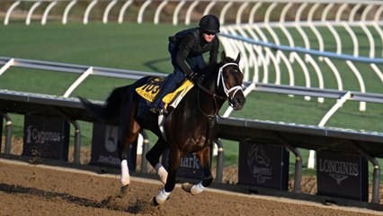 Fierceness Set to Shine: From Derby Days to Eclipse Award Victory