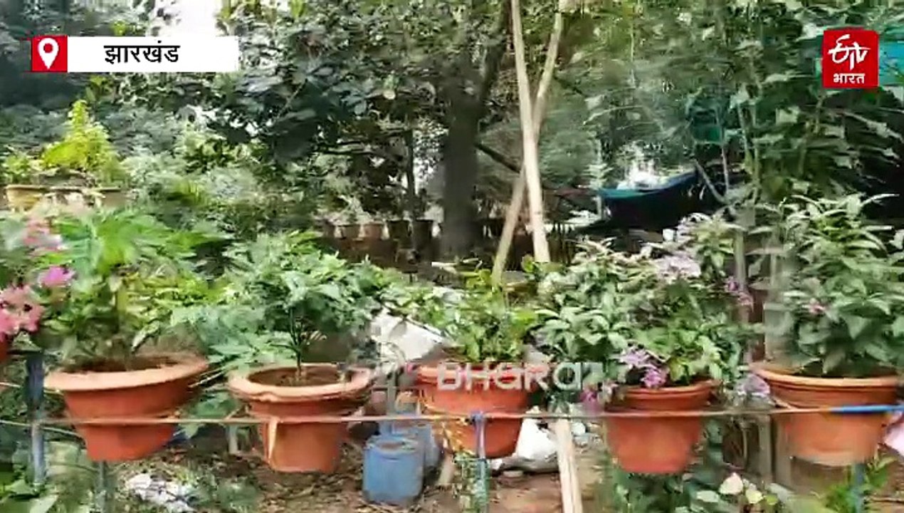 पौधों से प्रेम की बेमिसाल कहानी: रांची के अखिले...