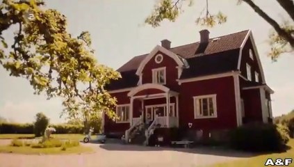 Inga Lindström -091- Hochzeitsfieber