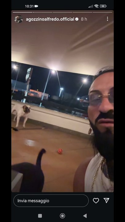 agozzino Alfredo vogliono giocare alle 2.30 di notte