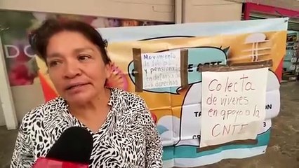 Exmaestra de Toluca organiza colecta