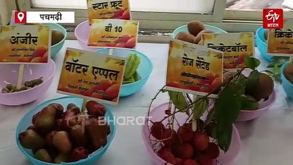 मैंगो फेस्टिवल में छाया सिंदूरी आम, खटास-मिठास का एक साथ फ्लेवर