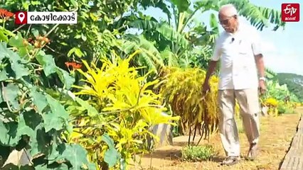 പൂക്കള്‍ പൂക്കും പൊതുയിടങ്ങള്‍; 'ചെടിക്കാക്ക' എന്ന മാതൃക ഉദ്യാനപാലകന്‍