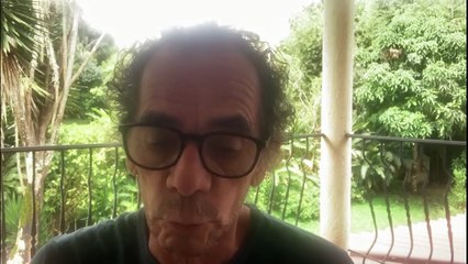 declaraciones-Video: Carro atropella y mata perro en Cartago-040625