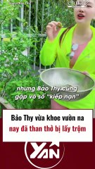Bảo Thy khoe vườn Na nay bị mất trộm