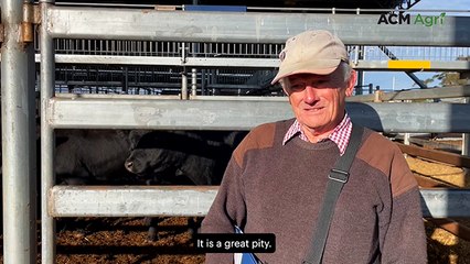 Doctor 'pretending to be a farmer' offloads cattle due to dry conditions