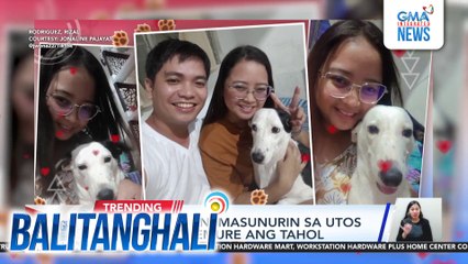 Alagang aspin, masunurin sa utos na gawing demure ang tahol | Balitanghali