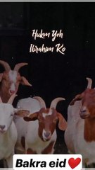 The Hidden Wisdom in Everyday Moments1