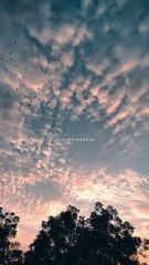 "Nature's Quiet Lessons: A Walk to Remember"