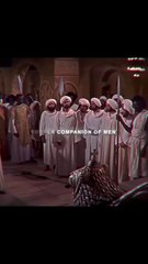 "The Beauty of Silence | A Life Lesson in Stillness"